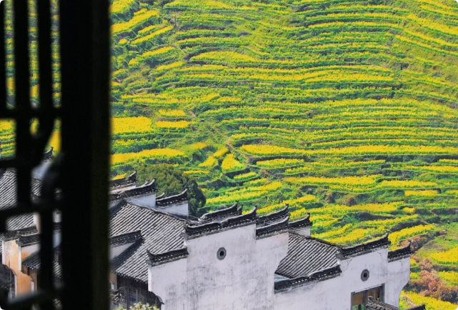 婺源旅游四季打卡时刻表