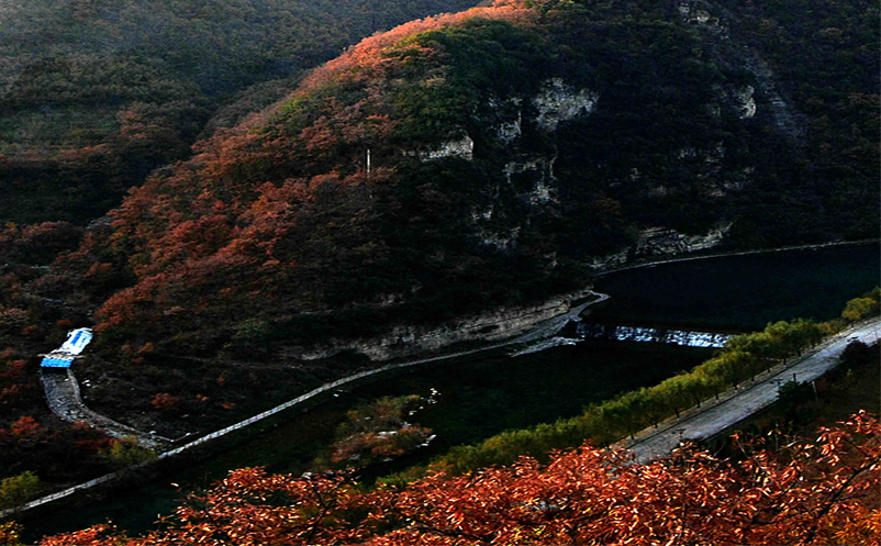 旅游景区搭上网络直播的快车 