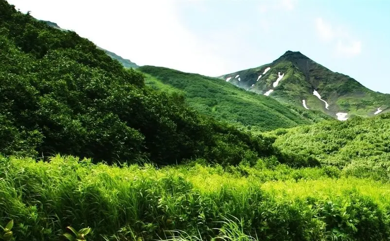 疫情防控与恢复景区客流两手抓 