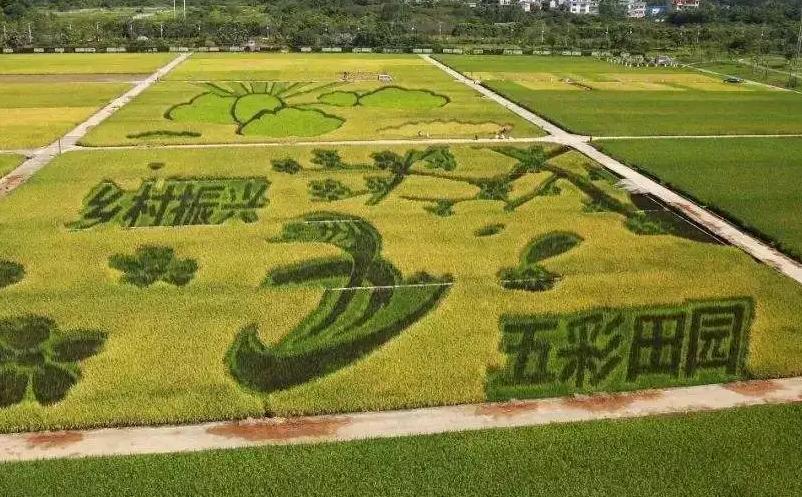 游客旅游需求和观念变化推动景区转型升级 