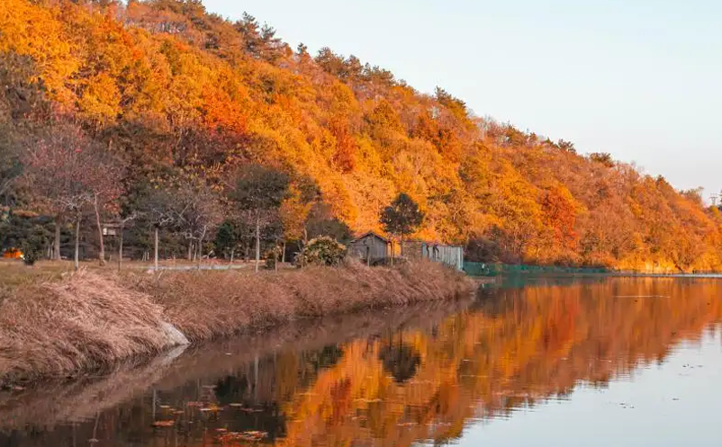 湖北景区票务系统(湖北门票分时预约系统) 