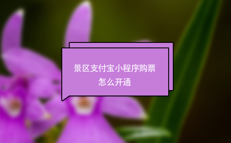 景区支付宝小程序购票怎么开通？