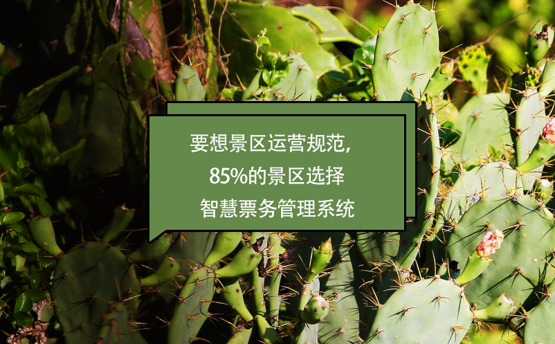 要想景区运营规范，85%的景区选择智慧票务管理系统