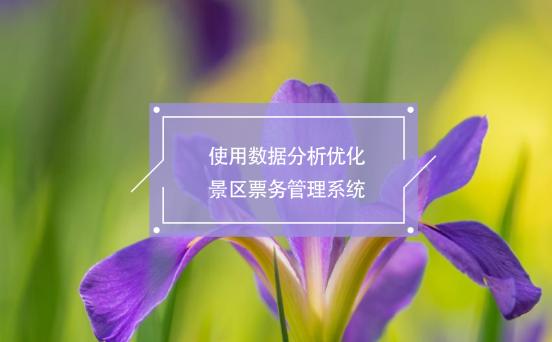 使用数据分析优化景区票务管理系统 