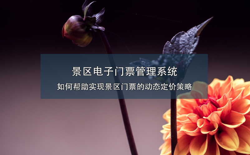 景区电子门票管理系统如何帮助实现景区门票的动态定价策略