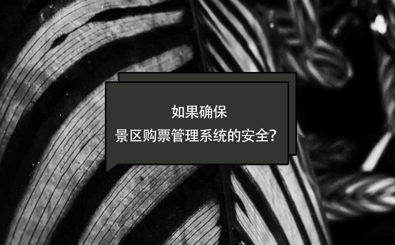 如果确保景区购票管理系统的安全？ 