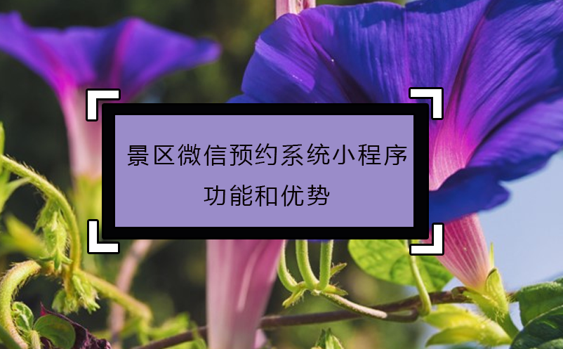 景区微信预约系统小程序功能和优势