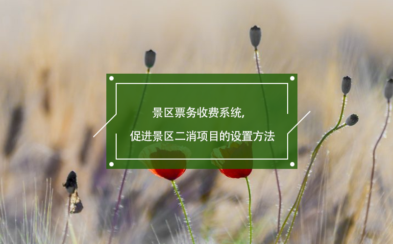 景区票务收费系统，促进景区二消项目的设置方法