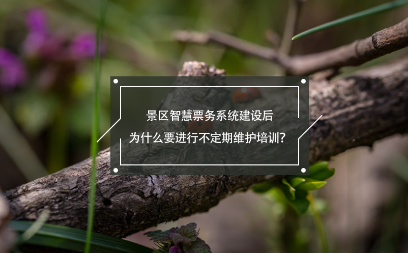 景区智慧票务系统建设后为什么要进行不定期维护培训？ 