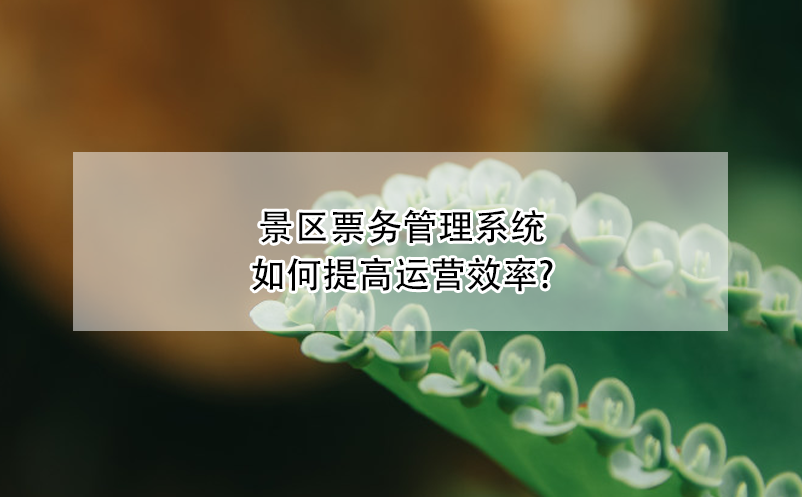 景区票务管理系统如何提高运营效率?