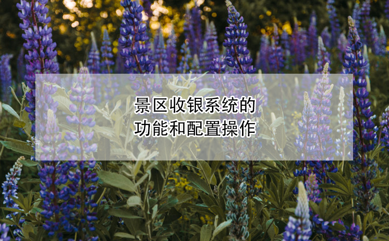 景区收银系统实现综合支付和统一结算