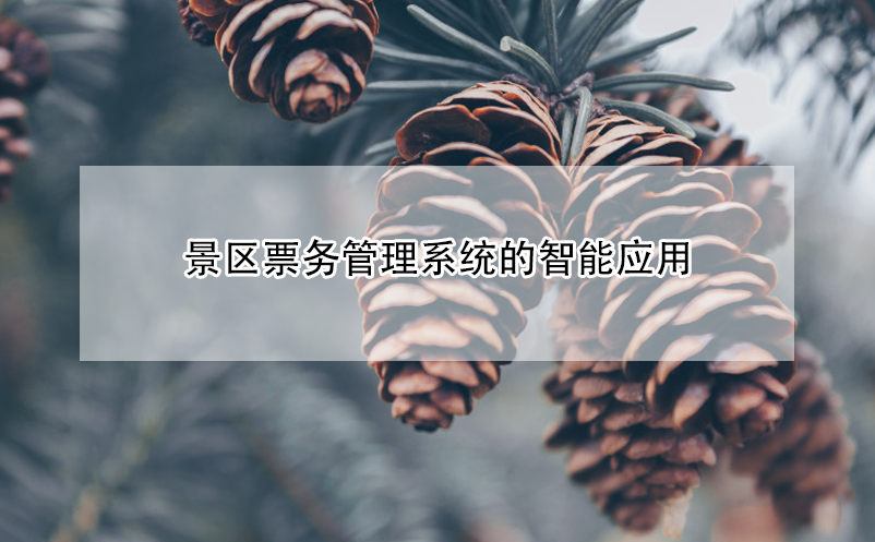 景区票务管理系统的智能应用