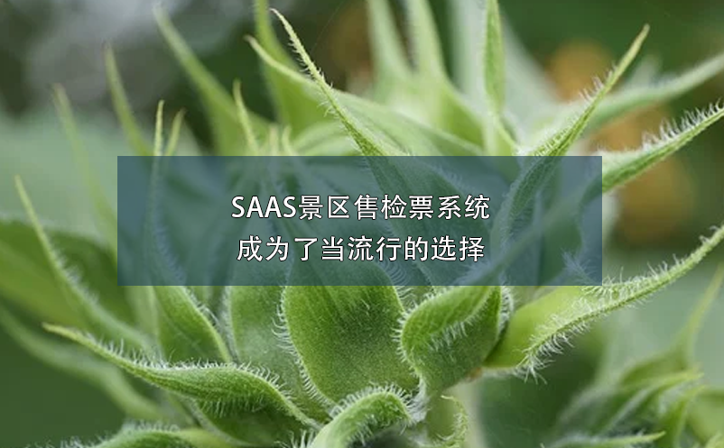 SAAS景区售检票系统成为了当流行的选择