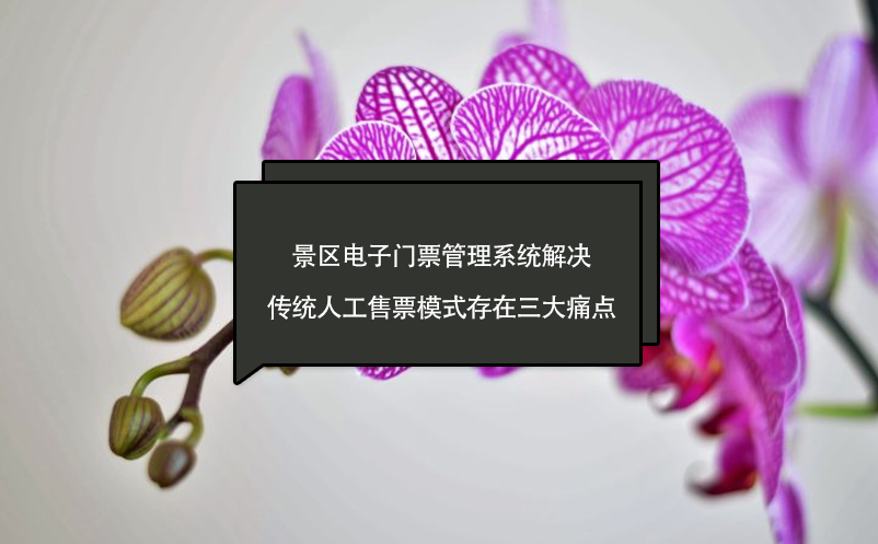 景区电子门票管理系统解决传统人工售票模式存在三大痛点 